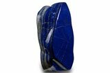 High Quality Polished Lapis Lazuli - Pakistan #329916-1